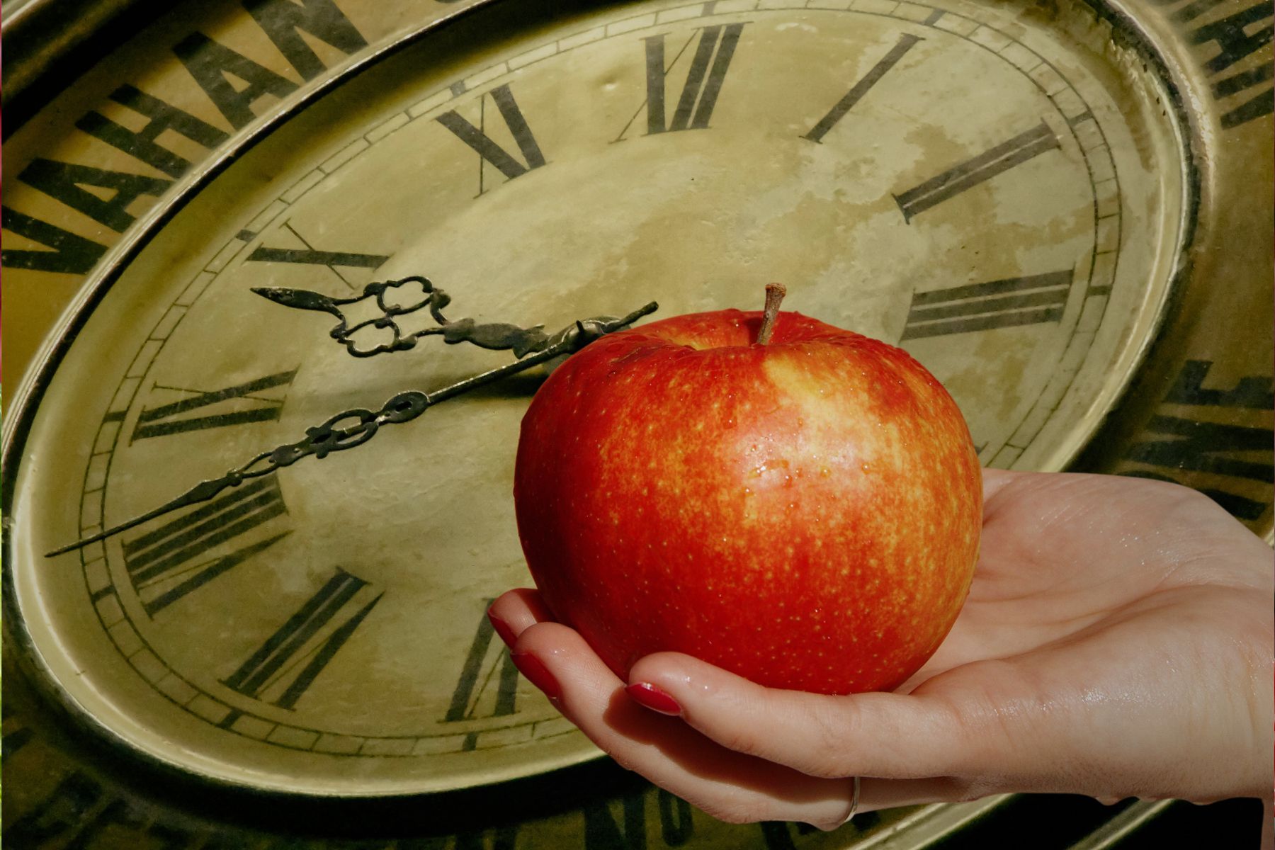 general fiction,short story